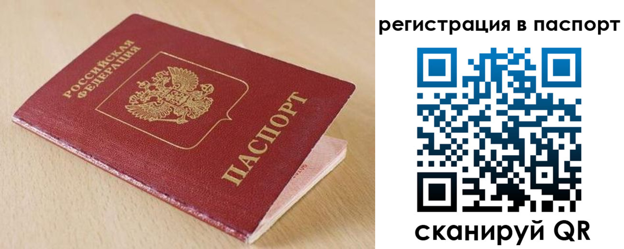 прописка поиск в Ростовской области