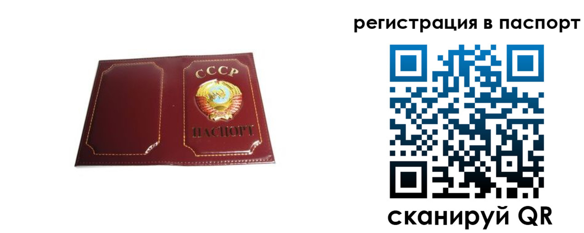 прописка 2025 в Ростовской области